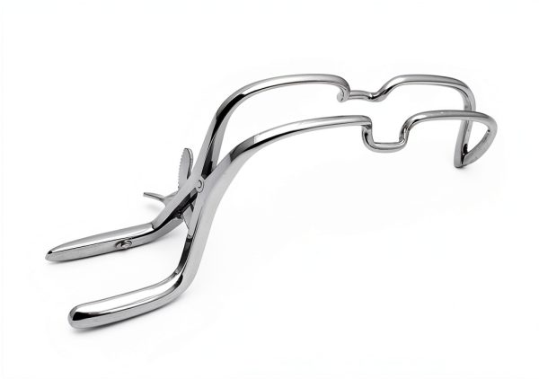 G S ONLINE STORE Dental Gag Stainless Steel Training Model-2