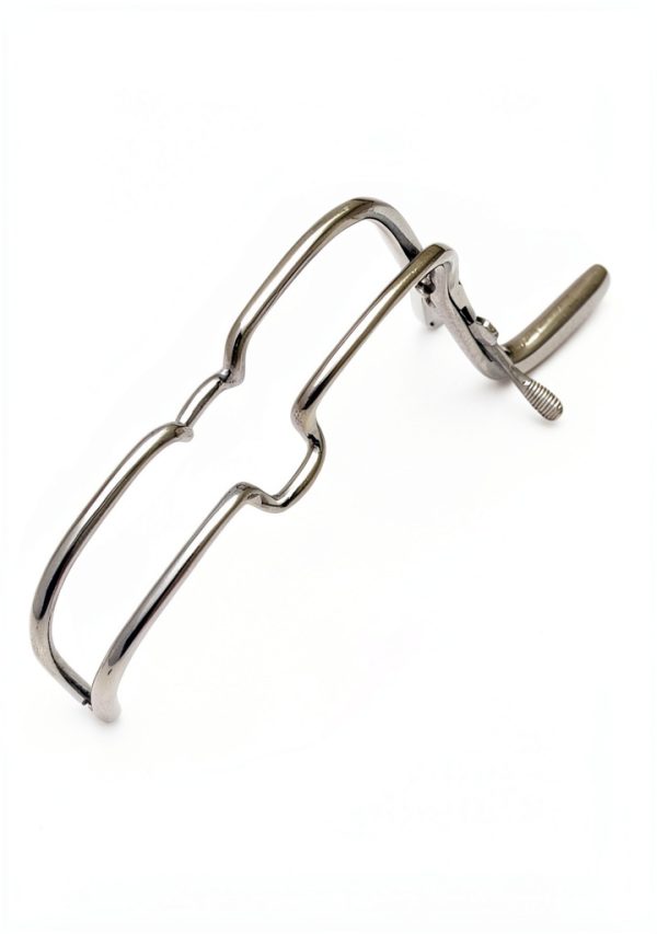 G S ONLINE STORE Dental Gag Stainless Steel Training Model-1