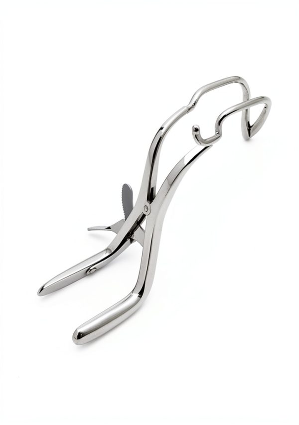 G S ONLINE STORE Dental Gag Stainless Steel Training Model-3