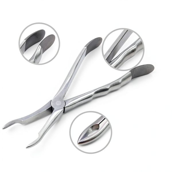 Cynamed Dental Root Tip Extracting Forceps Set of 4 – Diamond Dusted German Stainless Steel Tooth Extraction Tools – Professional Surgical Dental Instruments Kit for Root Removal Oral Care Procedures-2