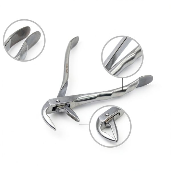 Cynamed Dental Root Tip Extracting Forceps Set of 4 – Diamond Dusted German Stainless Steel Tooth Extraction Tools – Professional Surgical Dental Instruments Kit for Root Removal Oral Care Procedures-3