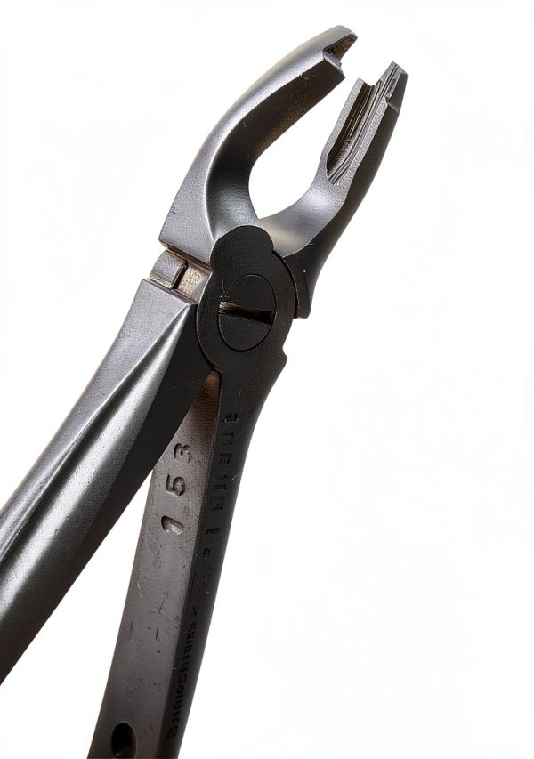 Dental Extracting Forceps WSI F1 Upper Anterior Serrated Steel-4