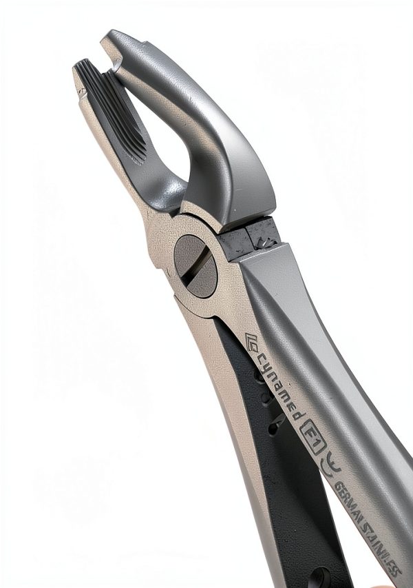 Dental Extracting Forceps WSI F1 Upper Anterior Serrated Steel-5