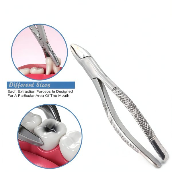 DDP Pediatric Extraction Forceps American 150S Upper Universal-6