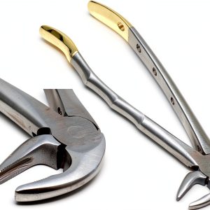 Dental Serrated Forceps MD3 with Gold Handle A2ZSCILAB Stainless Steel-0