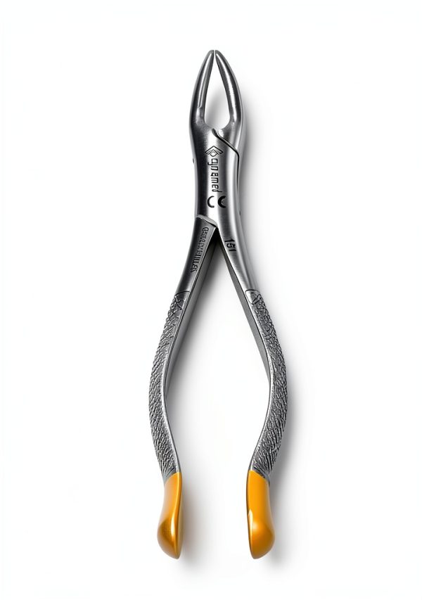 German Dental Extracting Forceps #151-Lower Bicuspid, Lower Incisor, Lower Root, Universal Extraction Forceps Dental Instruments -Cynamed-4
