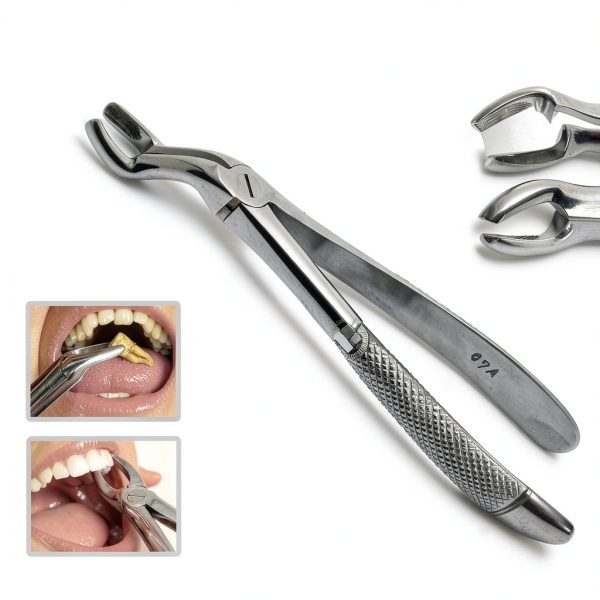 Fig 67 Tooth Forceps INSTUMAX – Stainless Steel, 18‑20 cm-2